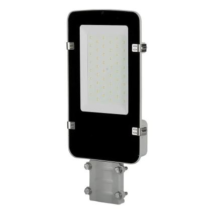 Lampadaire SAMSUNG CHIP LED/30W/230V 6400K IP65