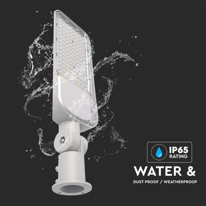 Lampadaire SAMSUNG CHIP LED/30W/230V 6500K IP65 gris