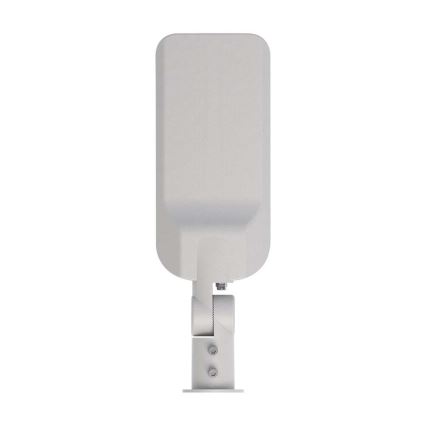 Lampadaire SAMSUNG CHIP LED/30W/230V 6500K IP65 gris