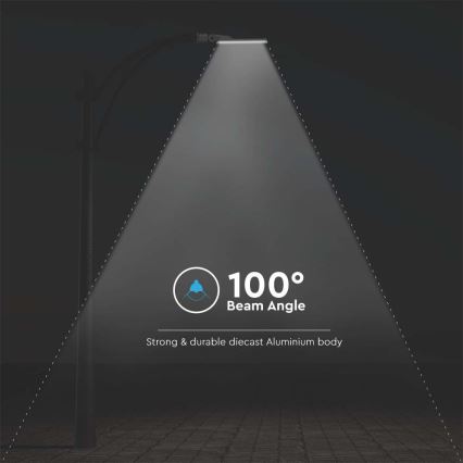 Lampadaire SAMSUNG CHIP LED/50W/230V 6500K IP65 gris