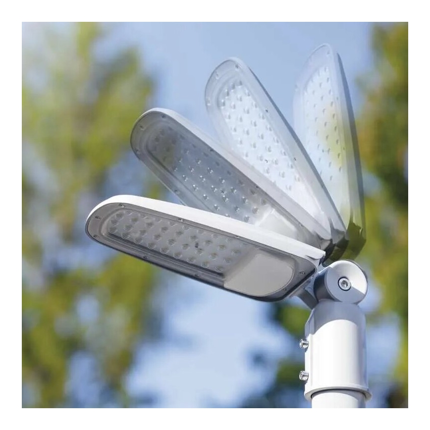 Lampadaire SOLIS LED/50W/230V 4000K IP65