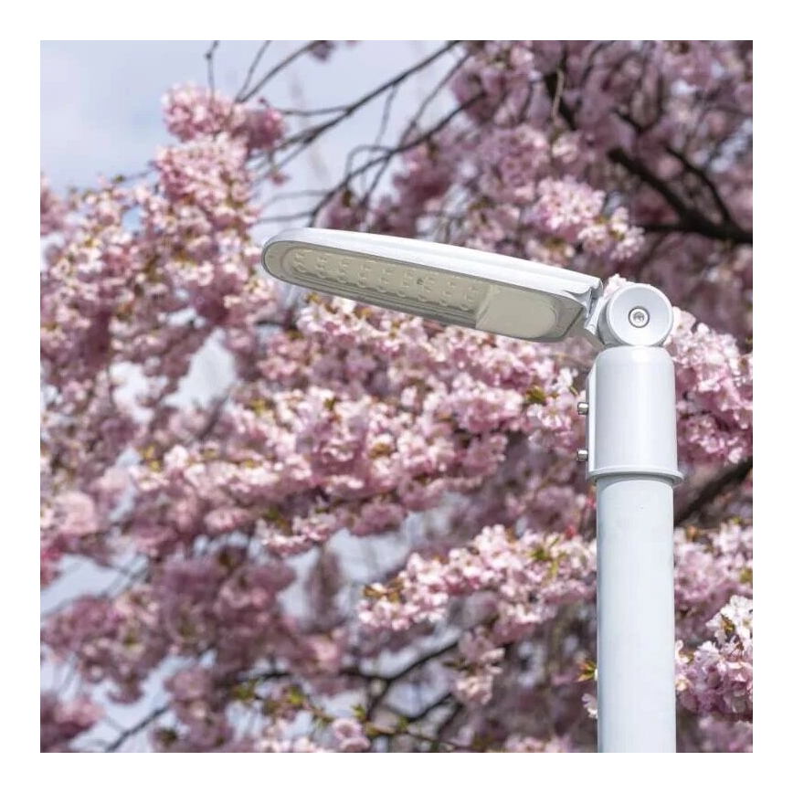 Lampadaire SOLIS LED/50W/230V 4000K IP65