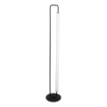 Lampadaire sur pied LED FELICJA LED/24W/230V 4000K noir