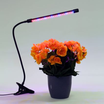 Lampe à pince à intensité variable pour éclairer les plantes LED/3W/230V noir