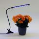 Lampe à pince à intensité variable pour éclairer les plantes LED/3W/230V noir