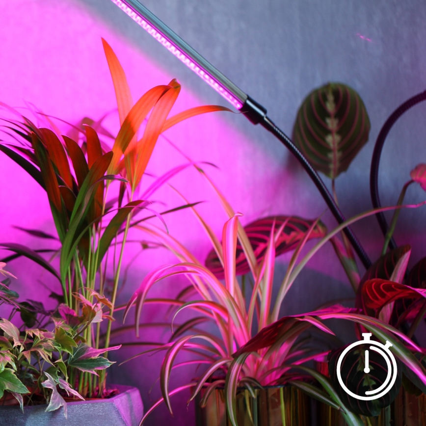 Lampe de table flexible à intensité variable pour la culture de plantes VITARO 3xLED/10W/230V noir