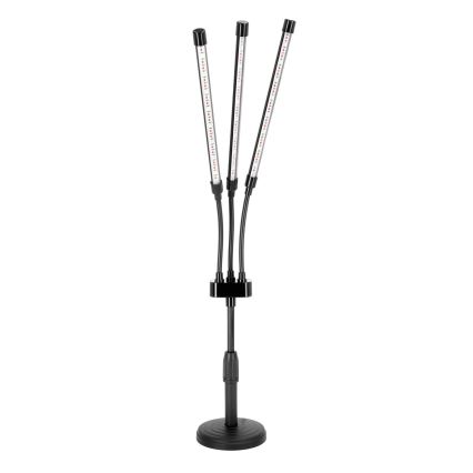 Lampe de table flexible à intensité variable pour la culture de plantes VITARO 3xLED/10W/230V noir