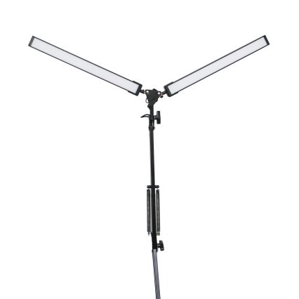 Lampe de table à pince 2xLED/10W/230V 2800-6800K