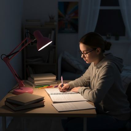 Lampe de table AURIQ 1xE27/60W/230V rose