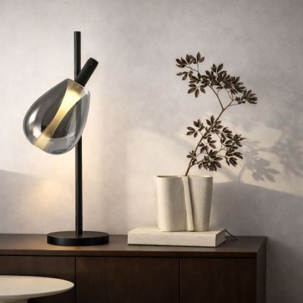 Lampe de table DENSO 1xG9/5W/230V chrome noir