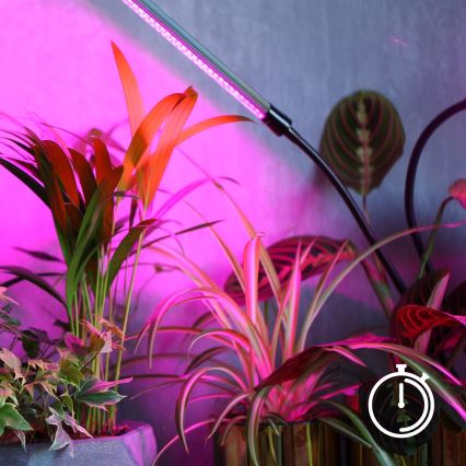 Lampe de table LED flexible et dimmable pour la culture des plantes VITARO 4xLED/10W/230V, noire