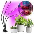 Lampe de table flexible à intensité variable avec pince pour la culture de plantes VITARO 4xLED/10W/230V noir
