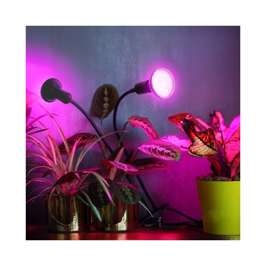 Lampe de bureau flexible avec clip pour culture de plantes PLANTY 2xE27/30W/230V noir
