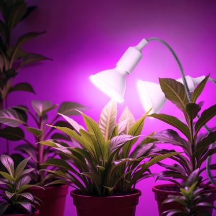 Lampe de table flexible avec pince pour la culture de plantes PLANTY 2xE27/30W/230V blanc