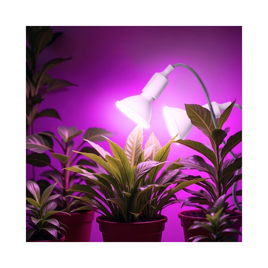 Lampe de table flexible avec pince pour la culture de plantes PLANTY 2xE27/30W/230V blanc