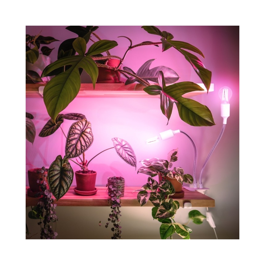 Lampe de table flexible avec pince pour la culture de plantes PLANTY 2xE27/30W/230V blanc
