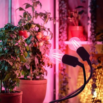 Lampe de table flexible avec pince pour la culture de plantes PLANTY 2xE27/30W/230V noir