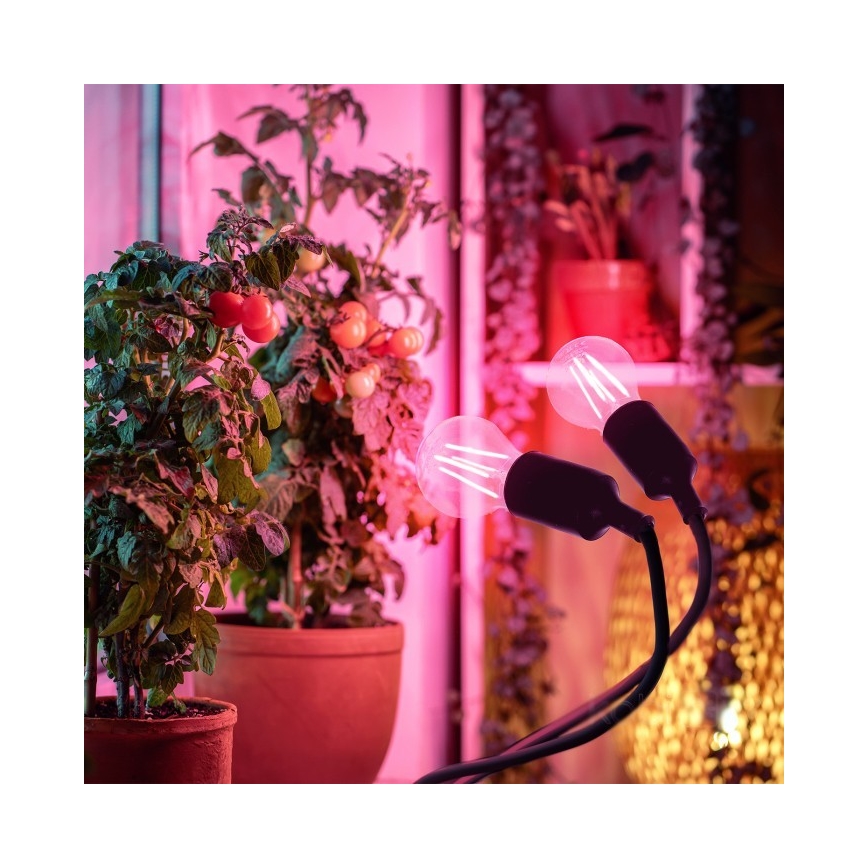 Lampe de table flexible avec pince pour la culture de plantes PLANTY 2xE27/30W/230V noir