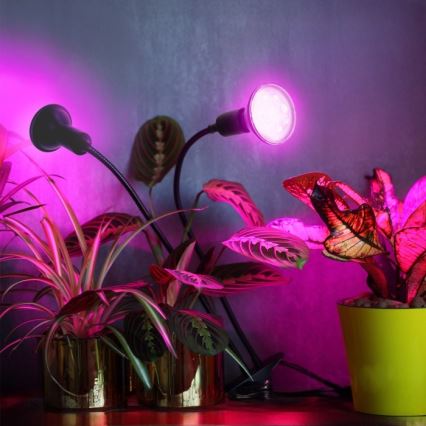 Lampe de table flexible avec pince pour la culture de plantes PLANTY 2xE27/30W/230V noir