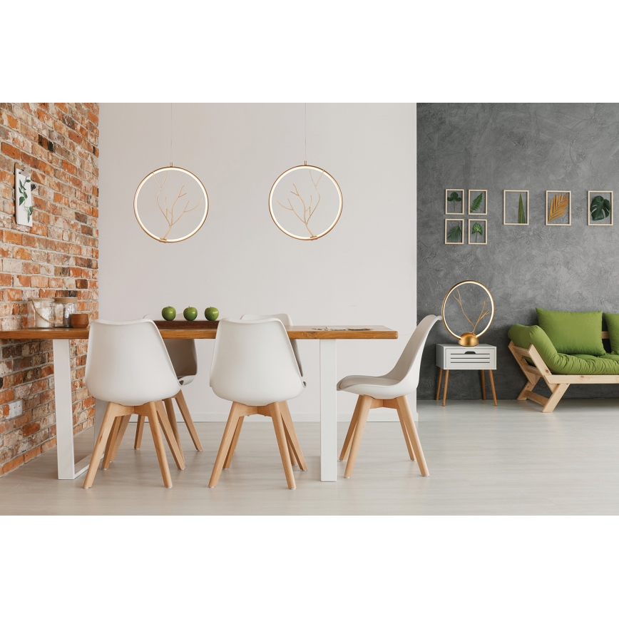 Lampe de table LED DAVOS LED/11,5W/230V