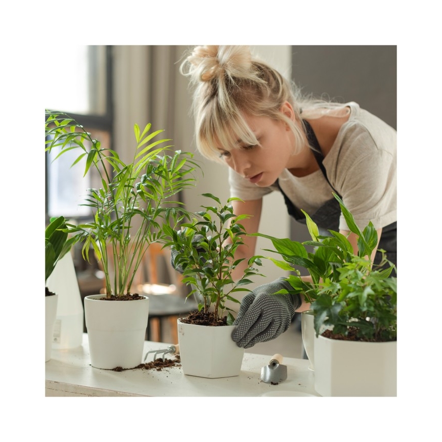Lampe de table LED dimmable pour culture de plantes VERDI LED/5W/5V 1300K IRC 95 blanche