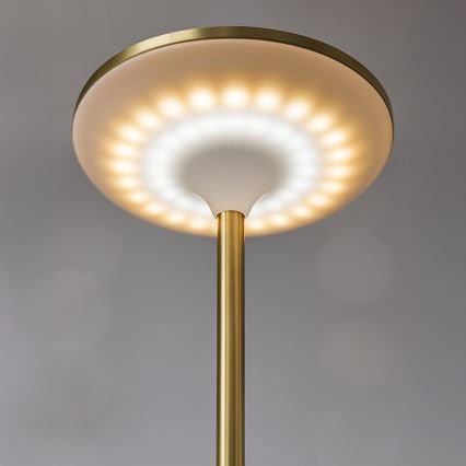 Lampe de table tactile rechargeable LED TAVOLO LED/2,5W/5V 2400 mAh 3000-6000K dorée