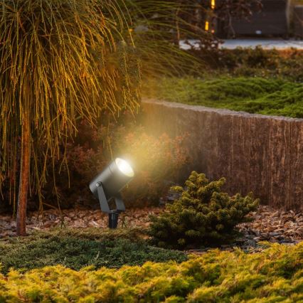 Lampe d'extérieur LED 10 W 230 V 4000 K IP65