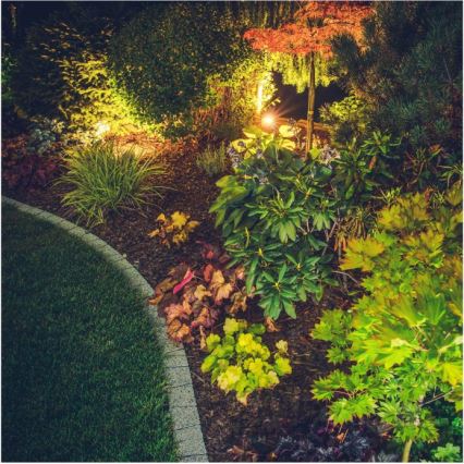 Lampe d'extérieur LED BLAKE, 5W, 230V, 3000K, IP65, noire