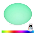 Lampe d'extérieur RGB à intensité variable LED/1W/5V 1000 mAh 20cm IP67 + Télécommande