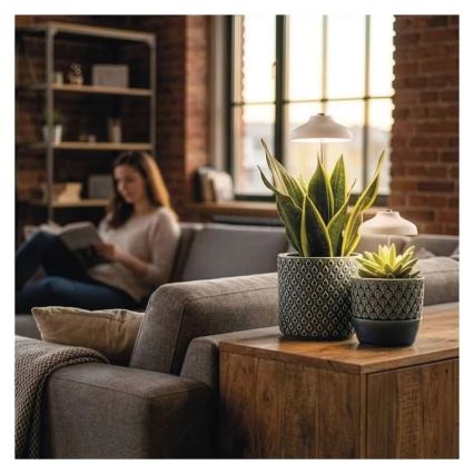 Lampe d'intérieur LED pour culture de plantes GROW LED/5W/5V