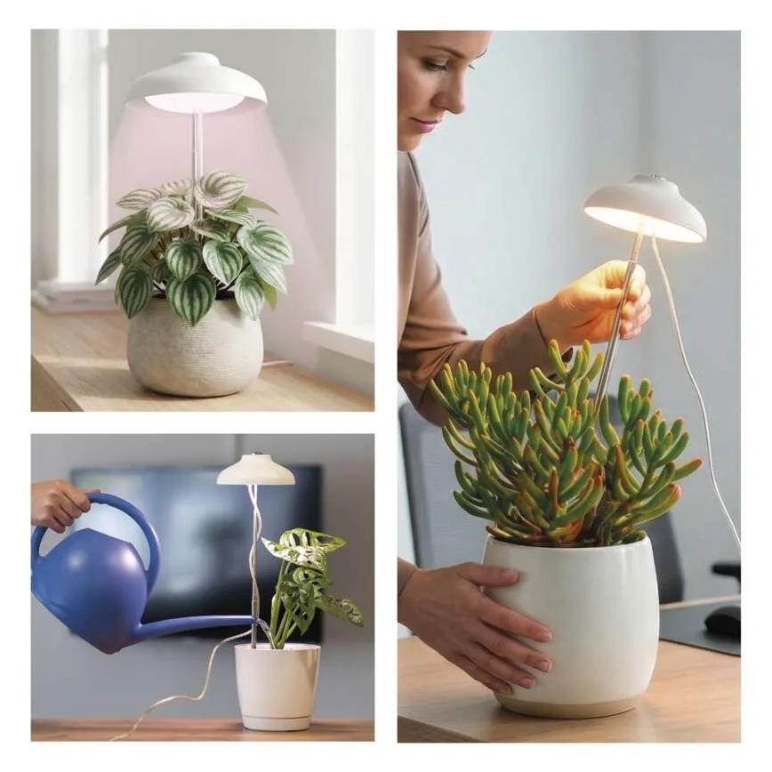 Lampe d'intérieur LED pour culture de plantes GROW LED/5W/5V