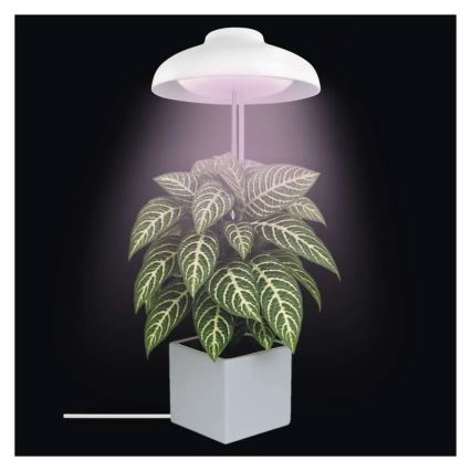 Lampe d'intérieur LED pour culture de plantes GROW LED/5W/5V