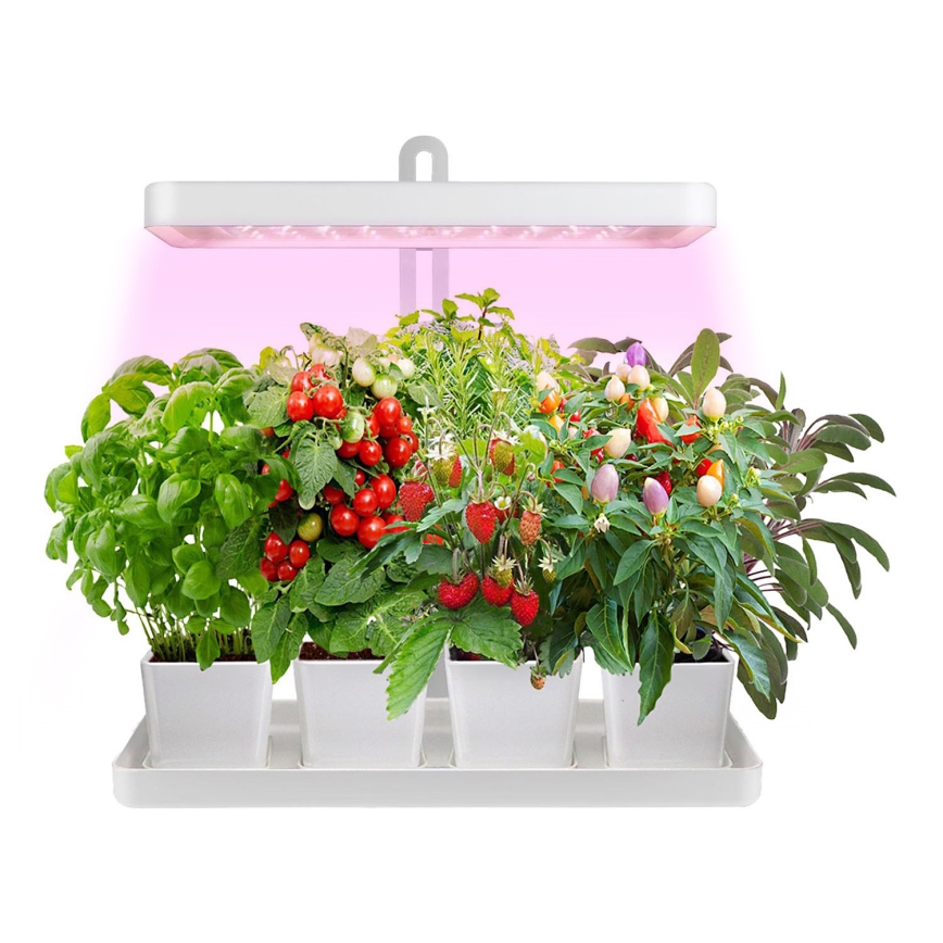 Lampe d'intérieur pour la culture de plantes LED/20W/5V 3500K