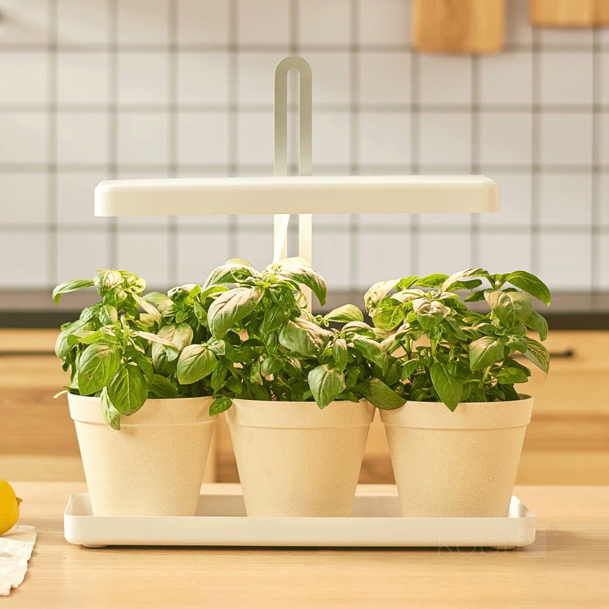 Lampe d'intérieur pour la culture de plantes LED/20W/5V 3500K