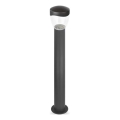 Lampe extérieur ARTEO 1xE27/15W/230V IP44 80 cm