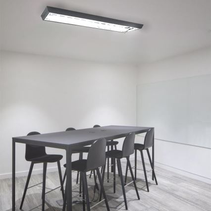 Lampe fluorescente T8 2xG13/18W/230V 120 cm noir