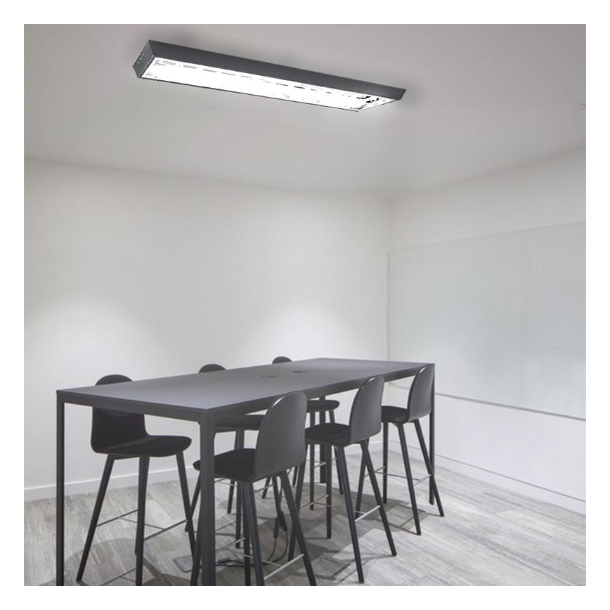 Lampe fluorescente T8 2xG13/18W/230V 120 cm noir