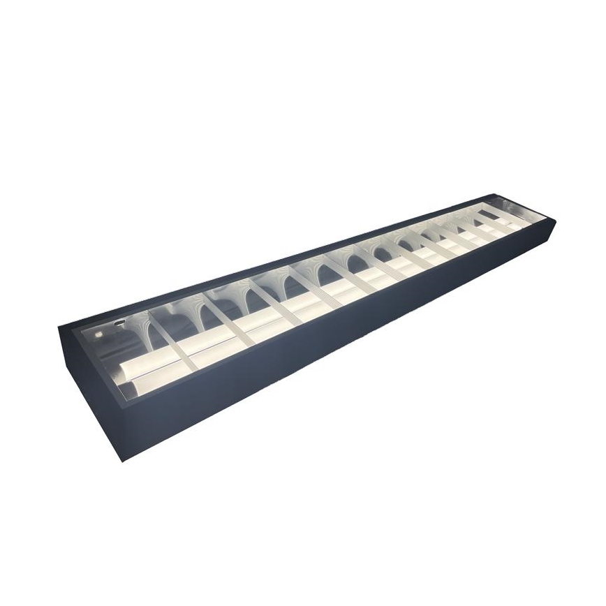 Lampe fluorescente T8 2xG13/18W/230V 120 cm noir