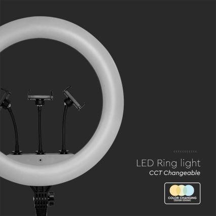 Lampe LED dimmable avec trépied et support pour le vlogging LED/55W/230V IRC 90 + télécommande