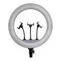 Lampe LED dimmable avec trépied et support pour le vlogging LED/55W/230V IRC 90 + télécommande