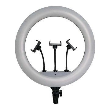 Lampe LED dimmable avec trépied et support pour le vlogging LED/55W/230V IRC 90 + télécommande