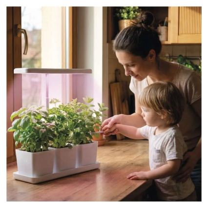 Lampe LED d'intérieur dimmable pour culture de plantes GROW LED/7W/5V