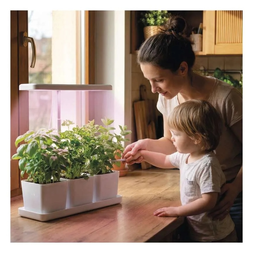 Lampe LED d'intérieur dimmable pour culture de plantes GROW LED/7W/5V