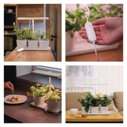 Lampe LED d'intérieur dimmable pour culture de plantes GROW LED/7W/5V