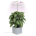 Lampe LED d'intérieur dimmable pour la culture des plantes GROW LED/8W/5V