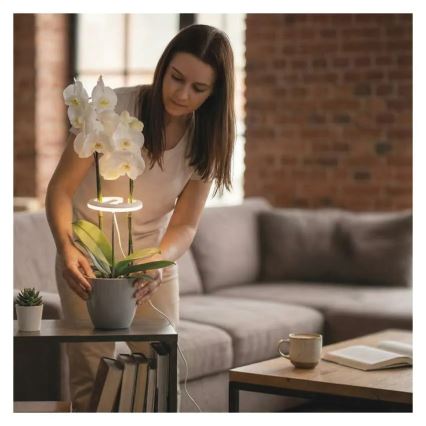 Lampe LED d'intérieur dimmable pour la culture des plantes GROW LED/8W/5V