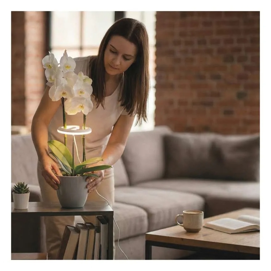 Lampe LED d'intérieur dimmable pour la culture des plantes GROW LED/8W/5V