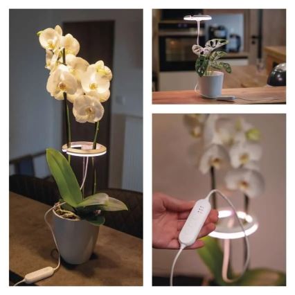 Lampe LED d'intérieur dimmable pour la culture des plantes GROW LED/8W/5V