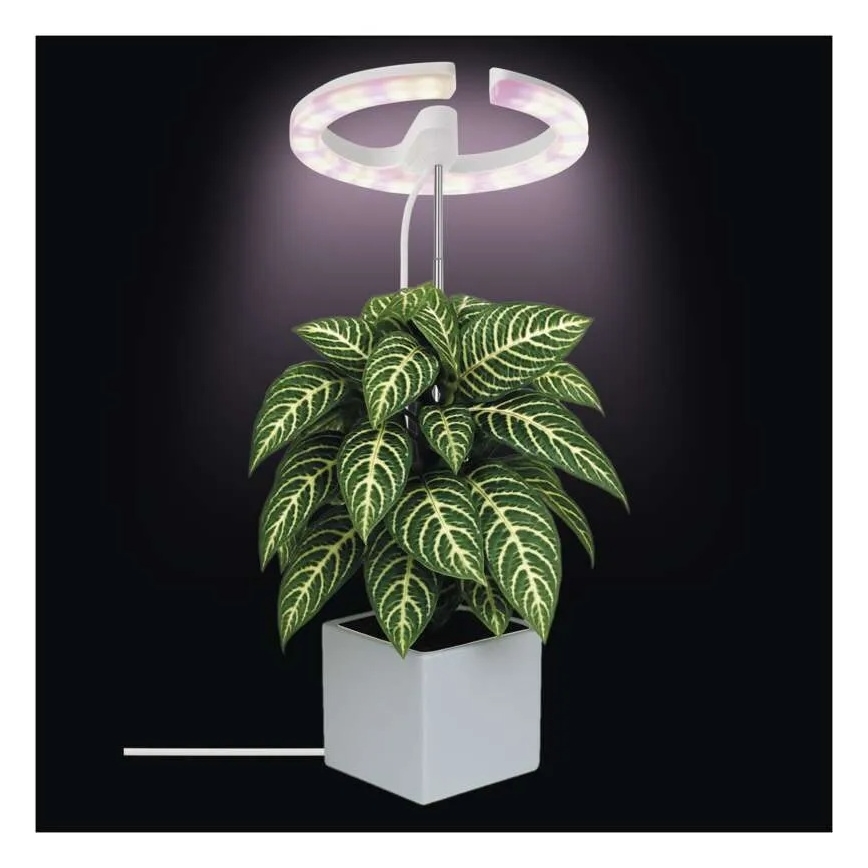 Lampe LED d'intérieur dimmable pour la culture des plantes GROW LED/8W/5V