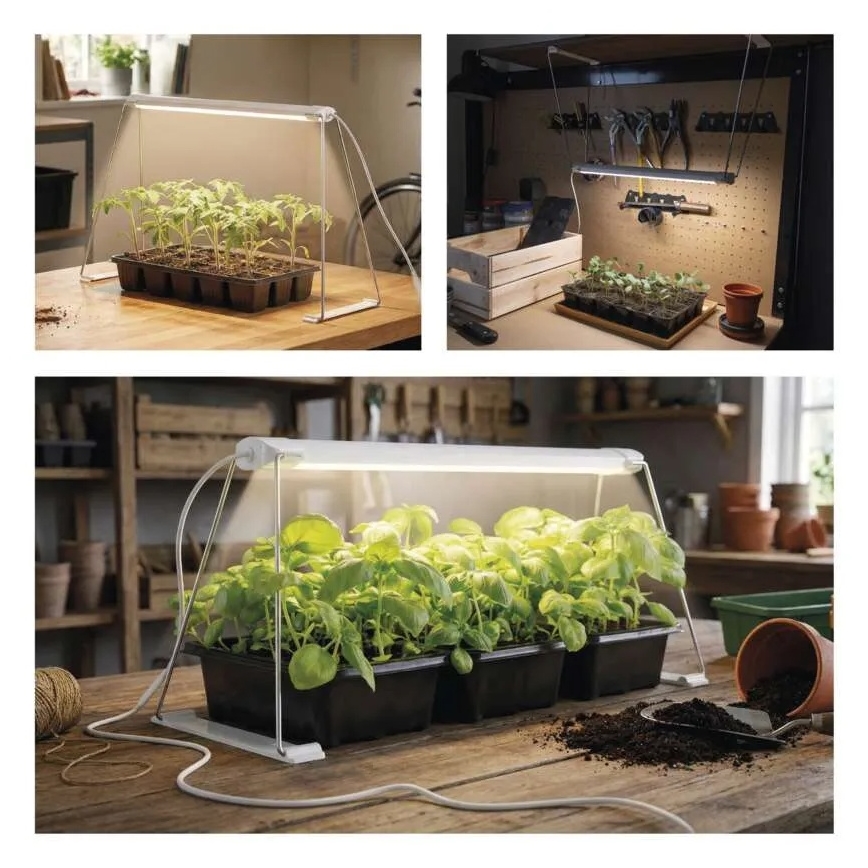 Lampe LED d'intérieur pour la culture des plantes GROW LED/15W/230V